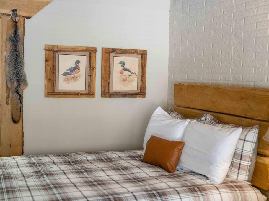 Stonegate 2 Queen Beds Fast Wifi 50in Tv Salt Water Pool # 305 Eureka Springs